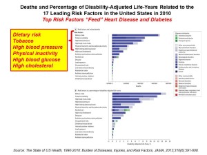 Deaths and Percentage of Disability-Adjusted Life-Years Related to 17 Leading Risk Factors