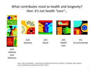What contributes most to health and longevity